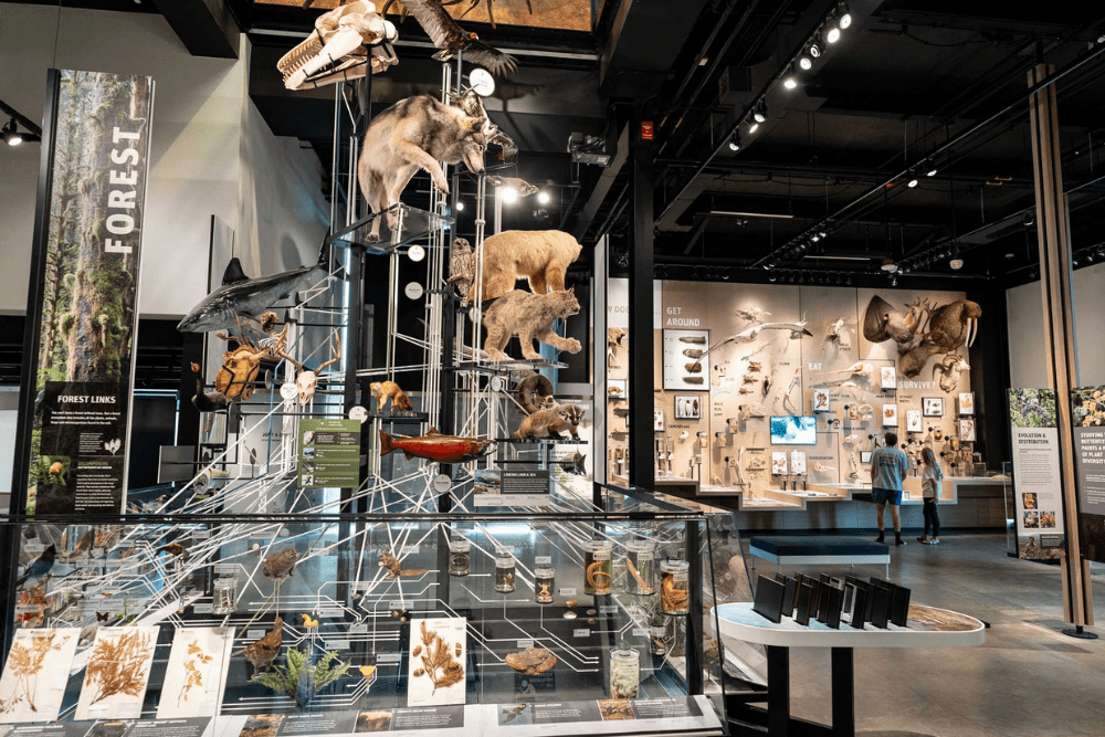 Explore Seattle’s History: An Innovative Spirit That Shaped the Pacific Northwest - Burke Museum of Natural History - R. Ormiston