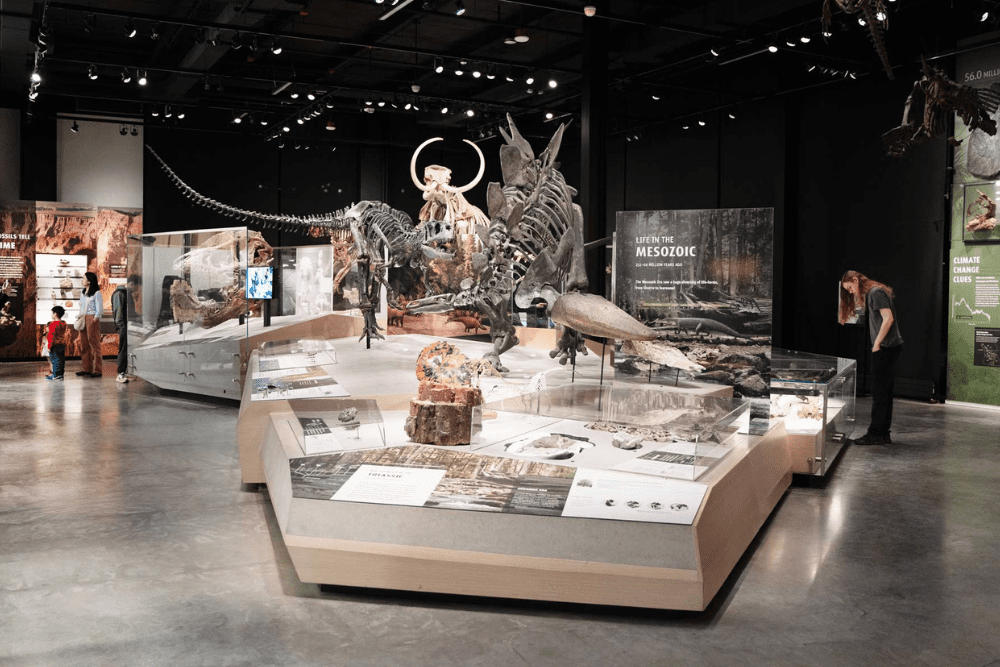 Explore Seattle’s History: An Innovative Spirit That Shaped the Pacific Northwest - Burke Museum of Natural History - R. Ormiston