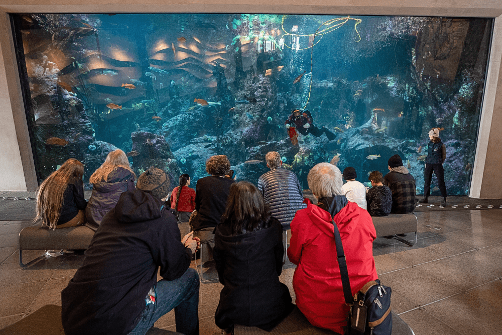 Seattle's Rainy Day Activities - Seattle Aquarium