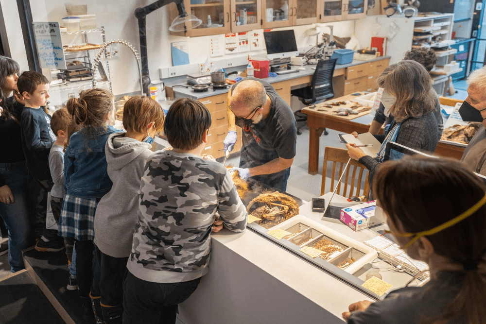 Seattle's Rainy Day Activities - Burke Museum of Natural History