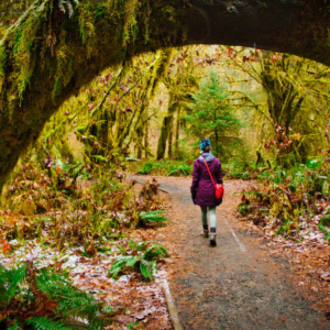 Emerald City Adventures - Outdoor Activities in Seattle - Tours NW