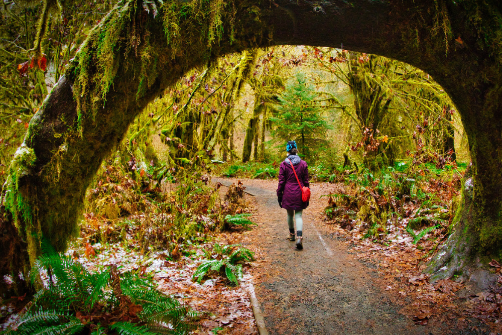 Emerald City Adventures - Outdoor Activities in Seattle - Tours NW